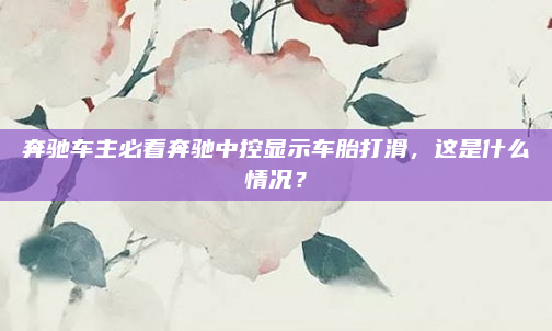奔驰车主必看奔驰中控显示车胎打滑，这是什么情况？