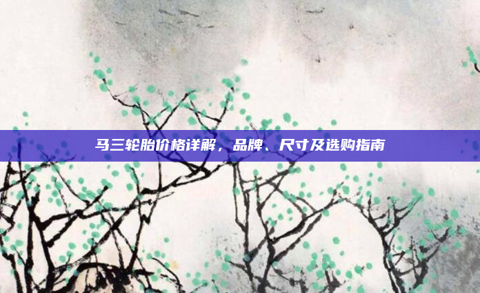 马三轮胎价格详解，品牌、尺寸及选购指南