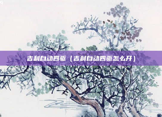 吉利自动四驱（吉利自动四驱怎么开）