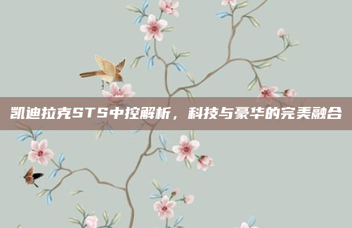 凯迪拉克STS中控解析，科技与豪华的完美融合