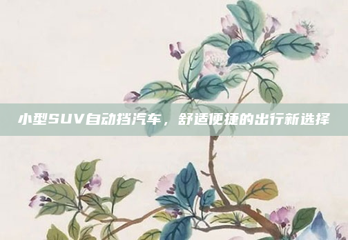 小型SUV自动挡汽车，舒适便捷的出行新选择