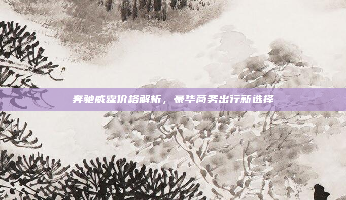 奔驰威霆价格解析，豪华商务出行新选择