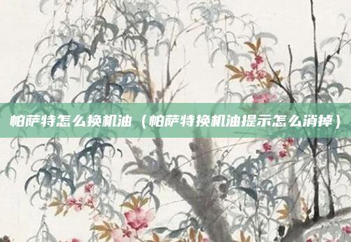 帕萨特怎么换机油（帕萨特换机油提示怎么消掉）
