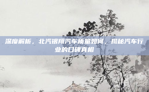 深度解析，北汽银翔汽车质量如何，揭秘汽车行业的口碑真相