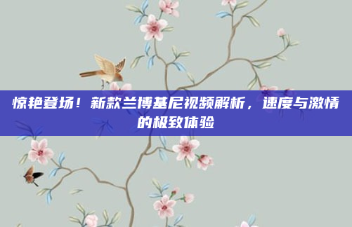 惊艳登场!新款兰博基尼视频解析,速度与激情的极致体验