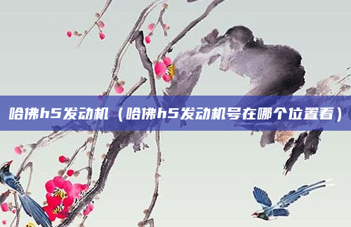 哈佛h5发动机（哈佛h5发动机号在哪个位置看）
