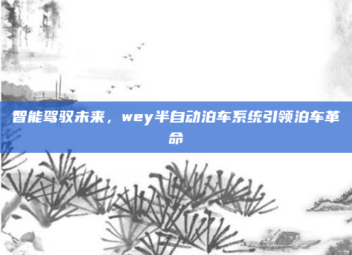 智能驾驭未来，wey半自动泊车系统引领泊车革命