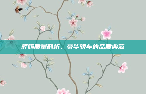 辉腾质量剖析，豪华轿车的品质典范