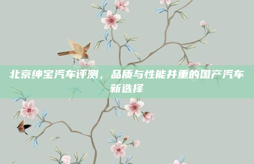 北京绅宝汽车评测,品质与性能并重的国产汽车新选择