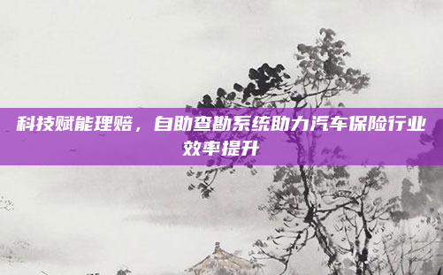 科技赋能理赔，自助查勘系统助力汽车保险行业效率提升