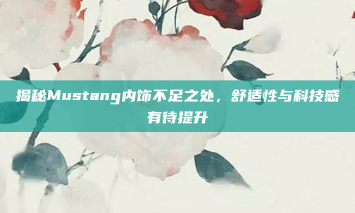 揭秘Mustang内饰不足之处，舒适性与科技感有待提升