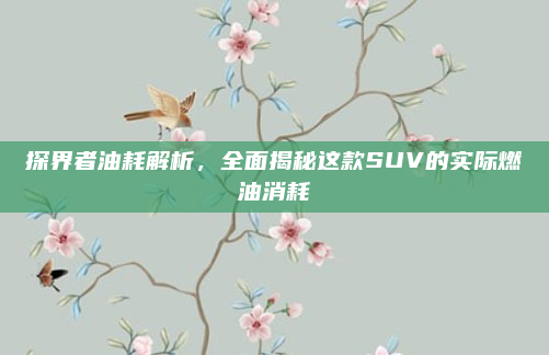 探界者油耗解析,全面揭秘这款SUV的实际燃油消耗