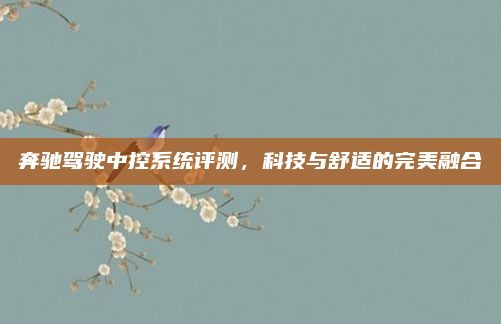 奔驰驾驶中控系统评测，科技与舒适的完美融合