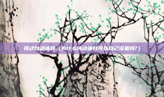 领动自动油耗（为什么领动油耗可以自己设置吗?）