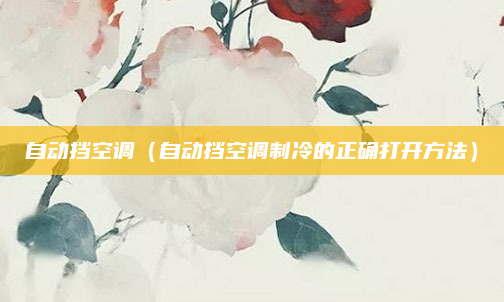 自动挡空调（自动挡空调制冷的正确打开方法）