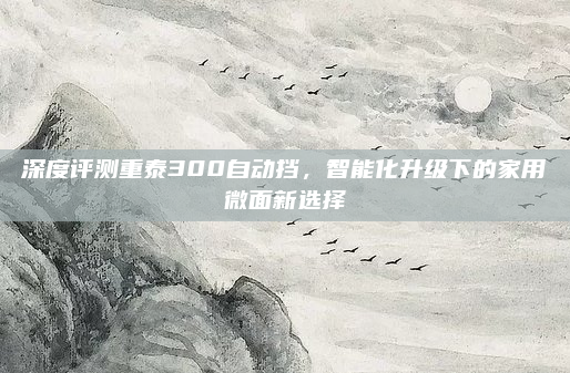 深度评测重泰300自动挡,智能化升级下的家用微面新选择