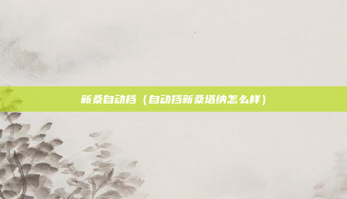 新桑自动档（自动挡新桑塔纳怎么样）
