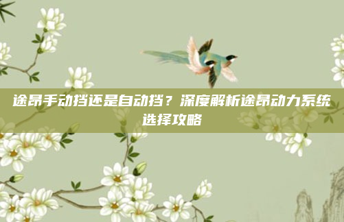 途昂手动挡还是自动挡？深度解析途昂动力系统选择攻略