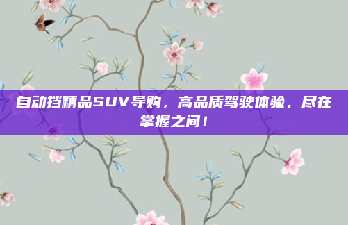 自动挡精品SUV导购，高品质驾驶体验，尽在掌握之间！