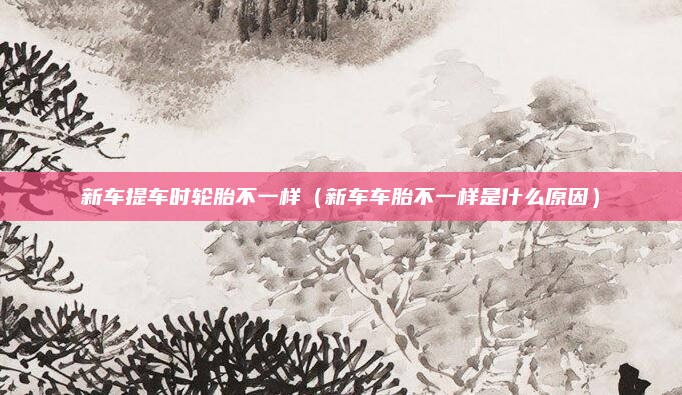 新车提车时轮胎不一样（新车车胎不一样是什么原因）