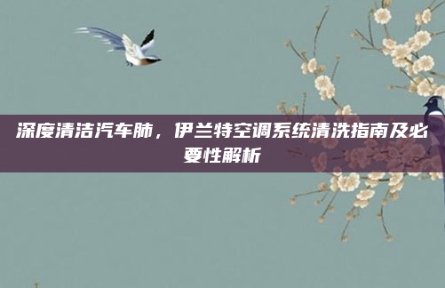 深度清洁汽车肺，伊兰特空调系统清洗指南及必要性解析
