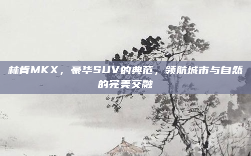 林肯MKX，豪华SUV的典范，领航城市与自然的完美交融