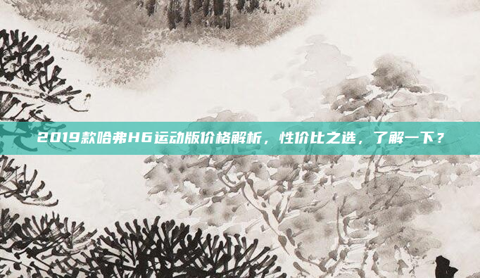 2019款哈弗H6运动版价格解析，性价比之选，了解一下？