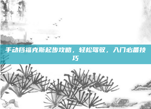 手动挡福克斯起步攻略,轻松驾驭,入门必备技巧