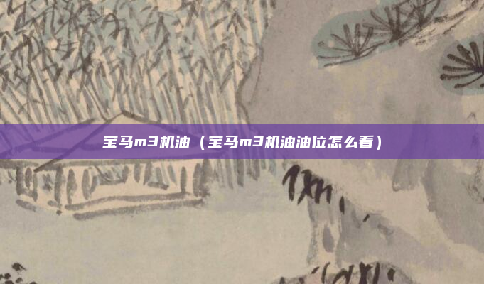 宝马m3机油（宝马m3机油油位怎么看）