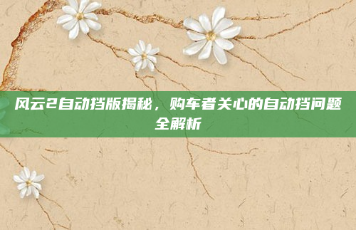 风云2自动挡版揭秘，购车者关心的自动挡问题全解析