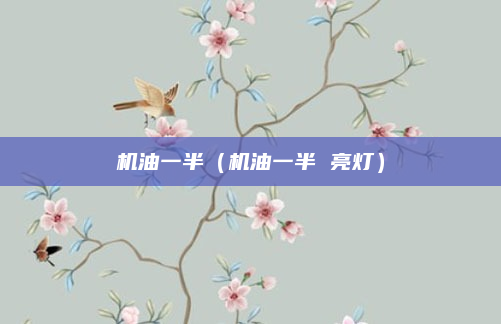 机油一半（机油一半 亮灯）