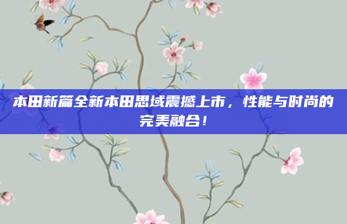本田新篇全新本田思域震撼上市，性能与时尚的完美融合！