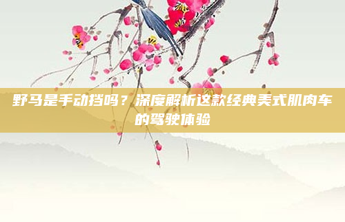 野马是手动挡吗？深度解析这款经典美式肌肉车的驾驶体验