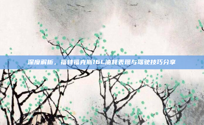 深度解析，福特福克斯16L油耗表现与驾驶技巧分享