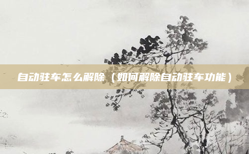 自动驻车怎么解除（如何解除自动驻车功能）
