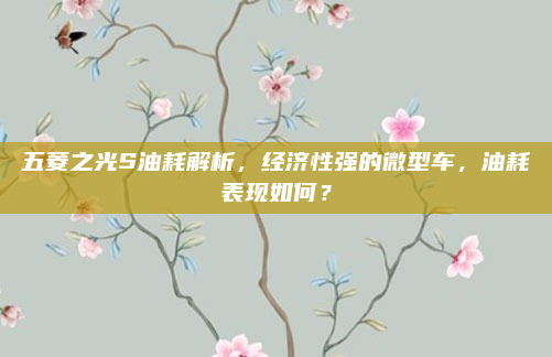 五菱之光S油耗解析，经济性强的微型车，油耗表现如何？