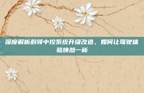深度解析蔚领中控系统升级改造，如何让驾驶体验焕然一新