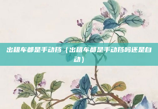 出租车都是手动挡（出租车都是手动挡吗还是自动）