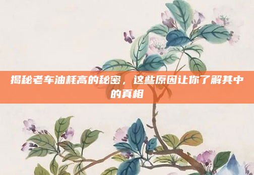 揭秘老车油耗高的秘密，这些原因让你了解其中的真相