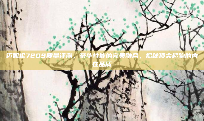 迈凯伦720S质量评测,豪华性能的完美融合,揭秘顶尖超跑的内在品质