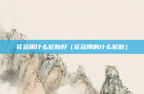 花冠用什么轮胎好（花冠用的什么轮胎）