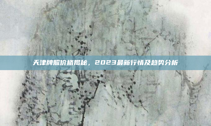 天津牌照价格揭秘,2023最新行情及趋势分析
