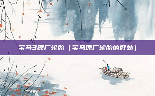 宝马3原厂轮胎（宝马原厂轮胎的好处）