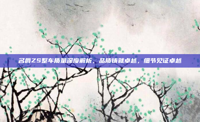 名爵ZS整车质量深度解析,品质铸就卓越,细节见证卓越