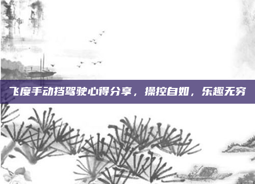 飞度手动挡驾驶心得分享,操控自如,乐趣无穷