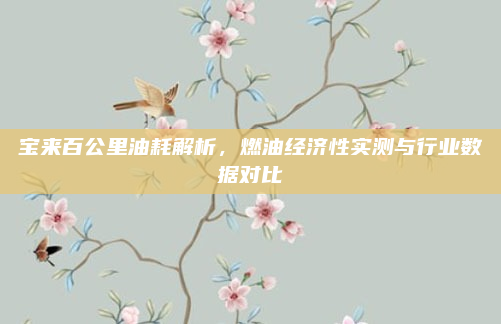 宝来百公里油耗解析，燃油经济性实测与行业数据对比