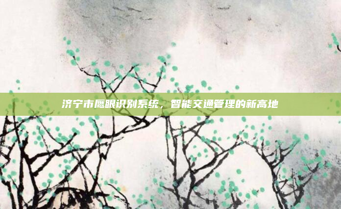 济宁市鹰眼识别系统，智能交通管理的新高地
