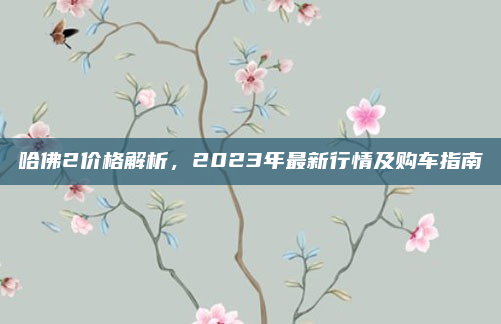 哈佛2价格解析,2023年最新行情及购车指南