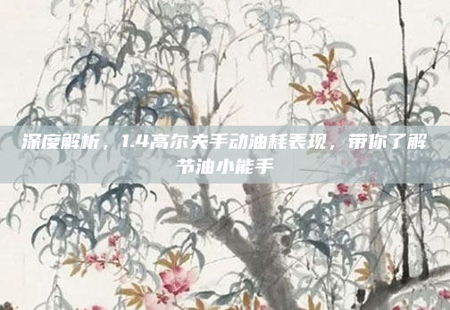深度解析，1.4高尔夫手动油耗表现，带你了解节油小能手