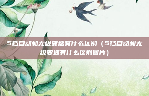 5档自动和无级变速有什么区别(5档自动和无级变速有什么区别图片)